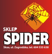 spider logo pion